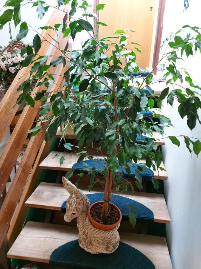 Apartma Reich Apartman Potony Kültér fotó